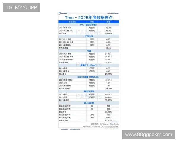 PA官网的最新动态与更新，掌握行业趋势